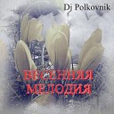 Dj Polkovnik - Весенняя мелодия
