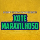 Forr Filhos Do Nordeste - Xote Maravilhoso