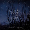 Chillout Lounge Brain Waves Isochronic Tones Brainwave Entrainment Tranquil Music Sound of Nature… - Serenity Calls