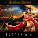 P N E V M A project feat sinem hondoroglu - Arabian Desire