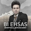 Morteza Jafarzadeh - Vafadar