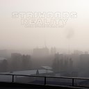 striwoods - Reality Dark Space Violin Mix