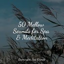 The White Noise Zen Meditation Sound Lab Natural Sound Makers The Sleep… - Music for Stress Relief
