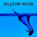 World Music For The New Age Sounds of Nature - Water Spa