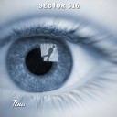 SECTOR 516 - Тени Hardpop Remix by Fate Creator