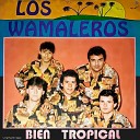 Los Wamaleros - Me imaginaba