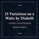 l Orchestra Filarmonica di Moss Weisman - Diabelli Variations Op 120 Tema Vivace