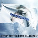 The False Flags - Jeffrey Epstein Didn t Kill Himself