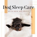 Calm Pets Music Academy - Time for Go to Bed Evening Rest