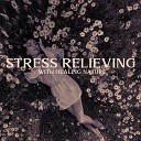 Calm Stress Oasis Relief - Without Stress