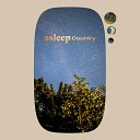 Asleep Country - Everything As It Never Was