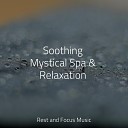 Massage Music White Noise Sound Garden Smart Baby… - Serene Waves of Calm