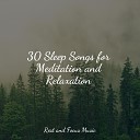 Relax Meditation Sleep Tibetan Singing Bowls for Relaxation Meditation Music… - Reassuring Fulfillment