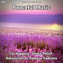 Meditation Music Relaxing Music Yoga - Peaceful Music Pt 5