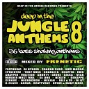 Frenetic - Deep In The Jungle Anthems 8 continuous DJ…