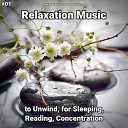 Meditation Music Relaxing Music Yoga - Relaxation Music Pt 18