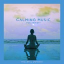Calming Music Sanctuary - Calm Your Anxiety Deep Rest
