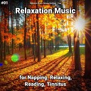 Meditation Music Relaxing Spa Music Yoga - Relaxation Music Pt 11