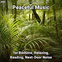 Meditation Music Relaxing Music Yoga - Peaceful Music Pt 11