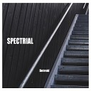 Spectrial - Live