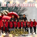 Sonora Altepexana La Original - Los Fr os De Diciembre