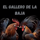 Alejandro Cuevas - El Gallero de la Baja
