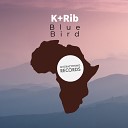 K Rib - Blue Bird Radio Mix