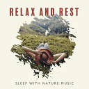 Deep Sleep Hypnosis Masters - Harmony