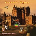 Psychedelic Monkeys - Scream Hop