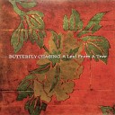 Butterfly Chasing - Pi