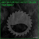 Andy Naylor feat Hayley Colleen - Your Energy original mix