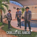 Caballos Del Rancho - Pajarillo Pecho Amarillo