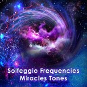 Emiliano Bruguera - 432 Hz Miracle Tone with 852 Hz Raise Positive…