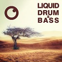 Dreazz - Liquid Drum Bass Sessions 59