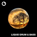 Dreazz - Liquid Drum Bass Sessions 57