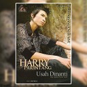 Harry Parintang - Usah Dinanti