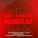 DJ Ronaldinho Paulista Mc Mn MC Lukinhas Jh feat Mc Maguinho do Litoral Phelippe… - Voc o Mago do Mandel o