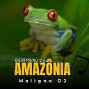 DJ Maligno - Berimbau da Amaz nia Meg o Alucinado