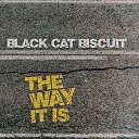 Black Cat Biscuit - Mean Is Just An Average