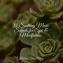 Serenity Spa Music Relaxation Anxiety Relief Especialistas de Musica para… - Peaceful Ears