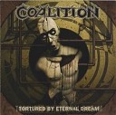 Coalition - Collateral Damage