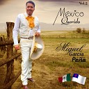 Miguel Garc a Pe a Pro Revelation GT - Con Tu Amor