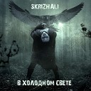 Skrizhali - Струны души Инстументал