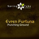 Evren Furtuna - Come Back to the Ground Original Mix