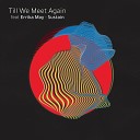 Till We Meet Again feat Errika May - Sustain Original Mix