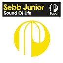 Sebb Junior - Sound Of Life Original Mix Edit