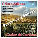 Cristo Salinas - Lo Pagaras Con Otro