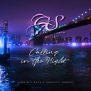 Gabriele Saro Roberto Fabbro - Chicago Calling in the Night