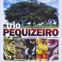 Trio Pequizeiro - Chumbo Grosso