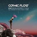 PPK - Resurrection Cosmic Flow Remix